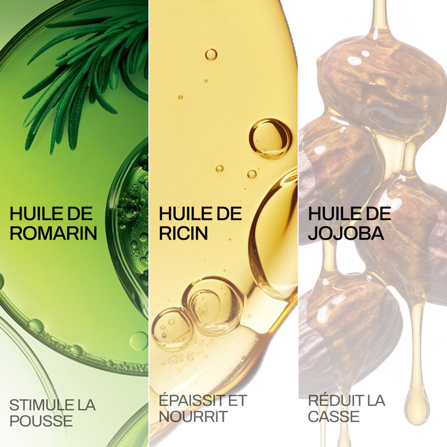 Sérum de Romarin +